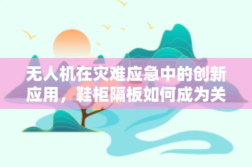 无人机在灾难应急中的创新应用，鞋柜隔板如何成为关键救援工具？