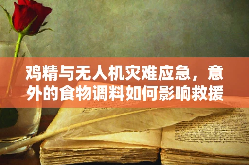 鸡精与无人机灾难应急，意外的食物调料如何影响救援决策？