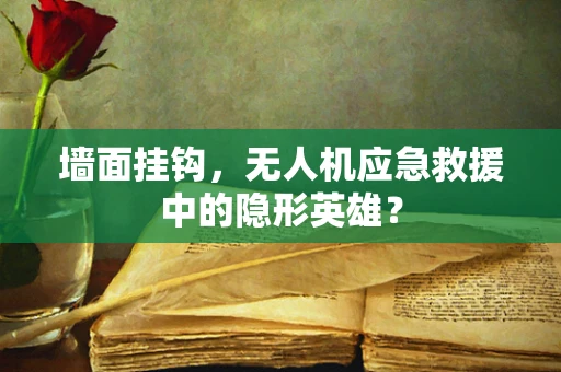 墙面挂钩，无人机应急救援中的隐形英雄？