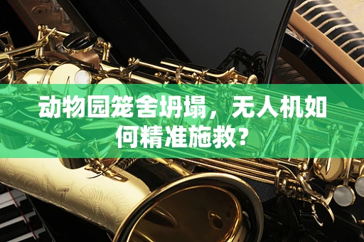 动物园笼舍坍塌，无人机如何精准施救？