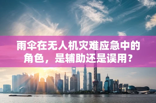 雨伞在无人机灾难应急中的角色，是辅助还是误用？