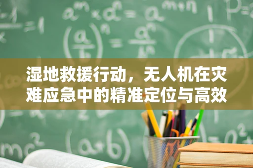 湿地救援行动，无人机在灾难应急中的精准定位与高效监测