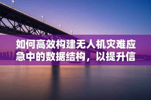 如何高效构建无人机灾难应急中的数据结构，以提升信息处理速度？
