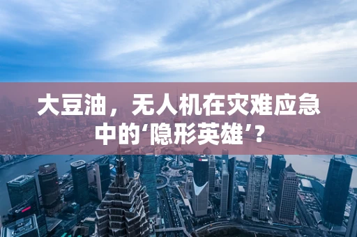 大豆油，无人机在灾难应急中的‘隐形英雄’？