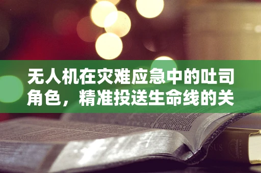无人机在灾难应急中的吐司角色，精准投送生命线的关键？