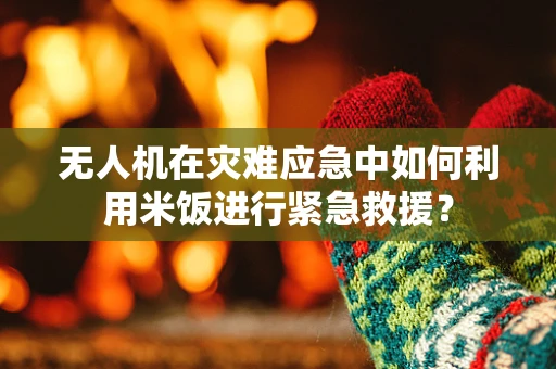 无人机在灾难应急中如何利用米饭进行紧急救援？