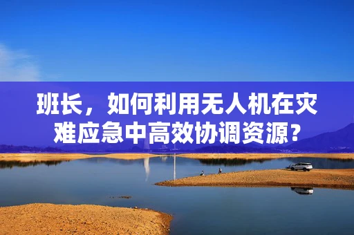 班长，如何利用无人机在灾难应急中高效协调资源？