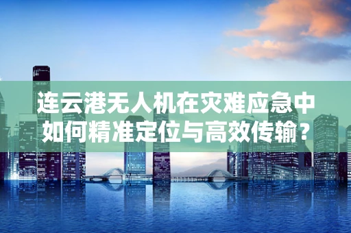 连云港无人机在灾难应急中如何精准定位与高效传输？