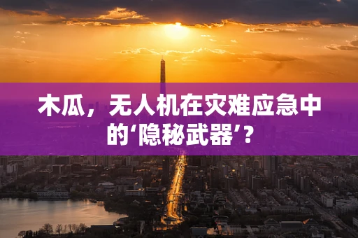 木瓜，无人机在灾难应急中的‘隐秘武器’？