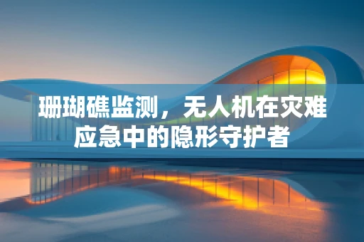 珊瑚礁监测，无人机在灾难应急中的隐形守护者