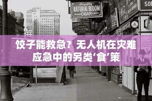 饺子能救急？无人机在灾难应急中的另类‘食’策
