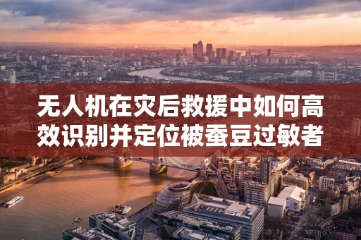 无人机在灾后救援中如何高效识别并定位被蚕豆过敏者？