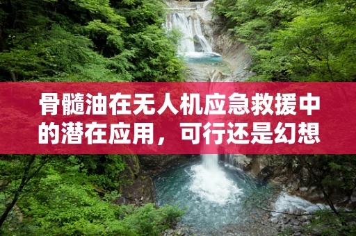 骨髓油在无人机应急救援中的潜在应用，可行还是幻想？