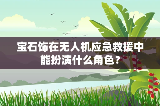 宝石饰在无人机应急救援中能扮演什么角色？