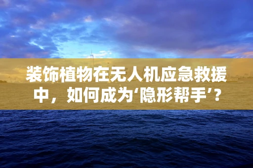 装饰植物在无人机应急救援中，如何成为‘隐形帮手’？