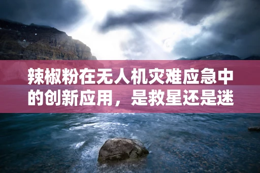 辣椒粉在无人机灾难应急中的创新应用，是救星还是迷雾？