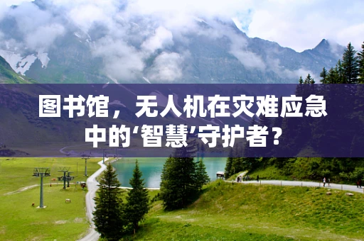 图书馆，无人机在灾难应急中的‘智慧’守护者？