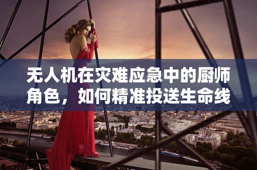 无人机在灾难应急中的厨师角色，如何精准投送生命线？