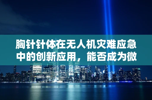 胸针针体在无人机灾难应急中的创新应用，能否成为微型传感器的载体？