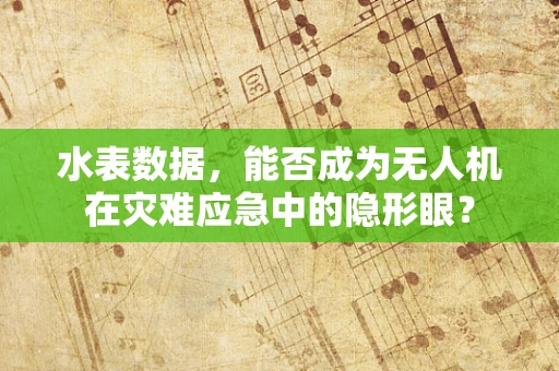水表数据，能否成为无人机在灾难应急中的隐形眼？