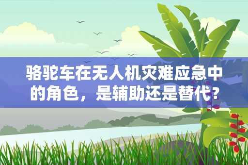 骆驼车在无人机灾难应急中的角色，是辅助还是替代？
