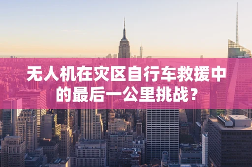 无人机在灾区自行车救援中的最后一公里挑战？
