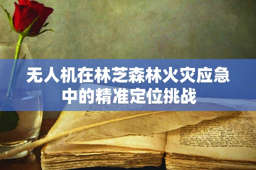 无人机在林芝森林火灾应急中的精准定位挑战