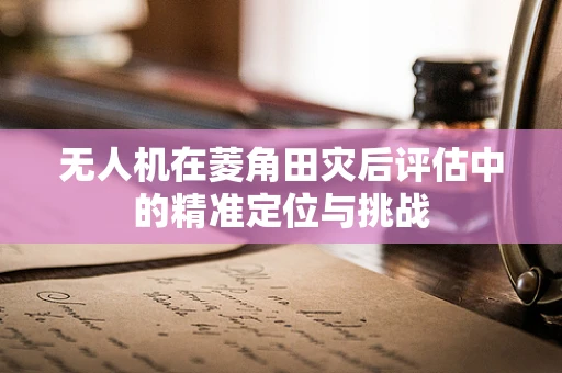 无人机在菱角田灾后评估中的精准定位与挑战