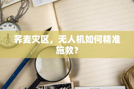 荞麦灾区，无人机如何精准施救？