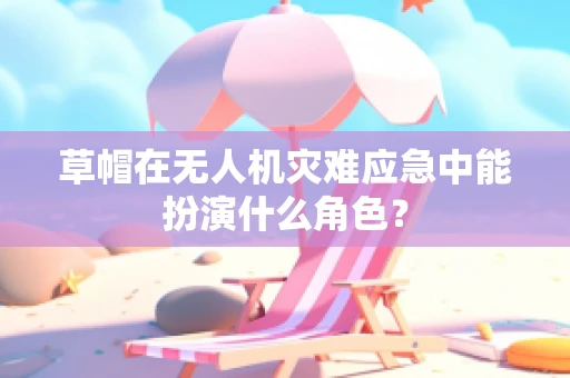草帽在无人机灾难应急中能扮演什么角色？