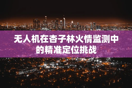 无人机在杏子林火情监测中的精准定位挑战