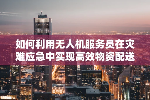 如何利用无人机服务员在灾难应急中实现高效物资配送？