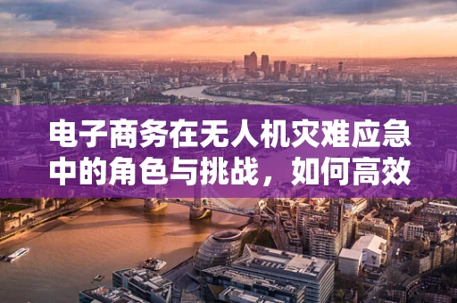 电子商务在无人机灾难应急中的角色与挑战，如何高效调配资源？