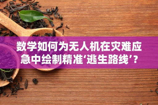 数学如何为无人机在灾难应急中绘制精准‘逃生路线’？