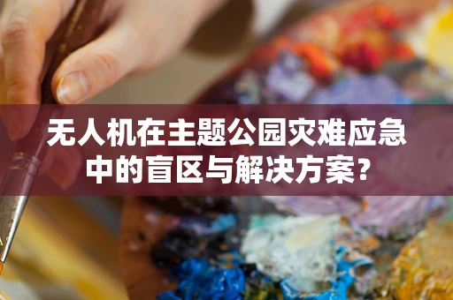 无人机在主题公园灾难应急中的盲区与解决方案？