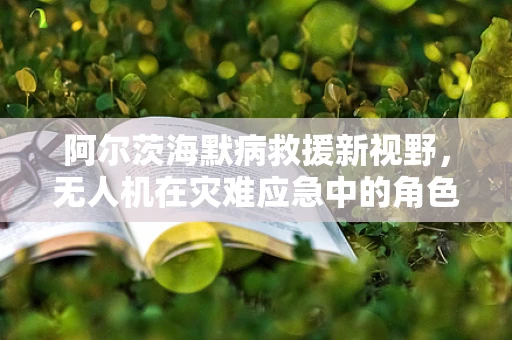 阿尔茨海默病救援新视野，无人机在灾难应急中的角色与挑战