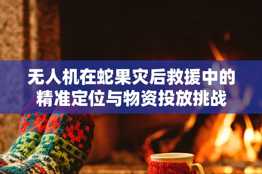 无人机在蛇果灾后救援中的精准定位与物资投放挑战