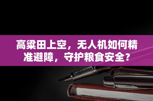 高粱田上空，无人机如何精准避障，守护粮食安全？