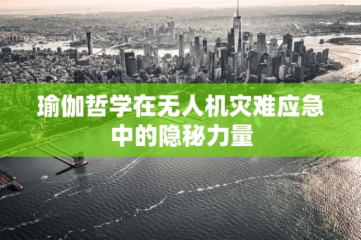 瑜伽哲学在无人机灾难应急中的隐秘力量
