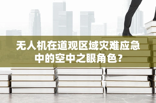无人机在道观区域灾难应急中的空中之眼角色？