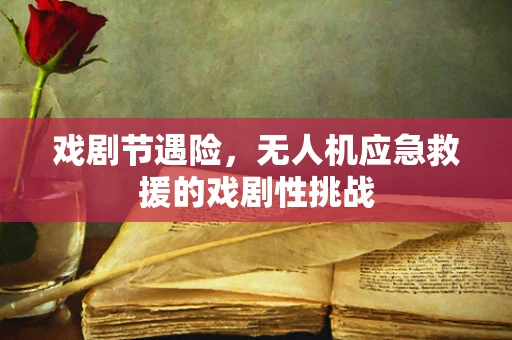 戏剧节遇险，无人机应急救援的戏剧性挑战