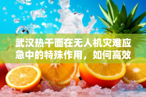 武汉热干面在无人机灾难应急中的特殊作用，如何高效配送救援物资？