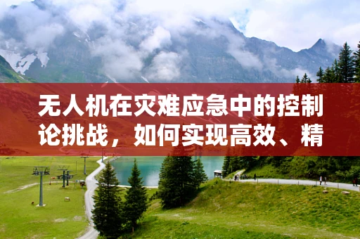 无人机在灾难应急中的控制论挑战，如何实现高效、精准的自主决策？