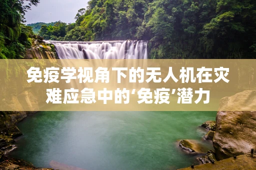 免疫学视角下的无人机在灾难应急中的‘免疫’潜力