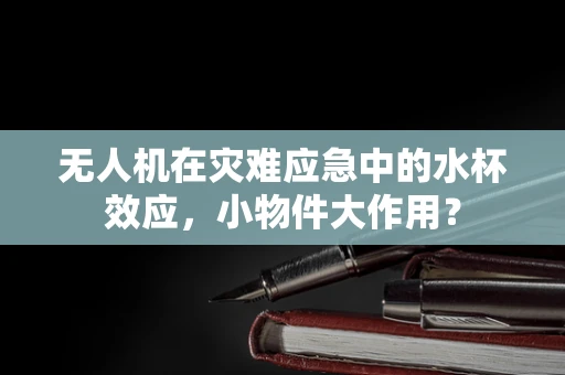无人机在灾难应急中的水杯效应，小物件大作用？