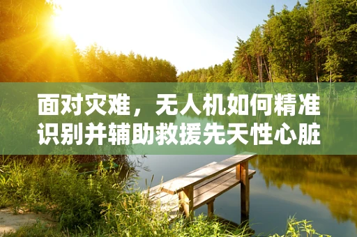 面对灾难，无人机如何精准识别并辅助救援先天性心脏病患者？