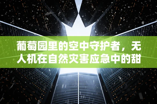 葡萄园里的空中守护者，无人机在自然灾害应急中的甜蜜角色？