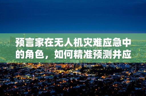预言家在无人机灾难应急中的角色，如何精准预测并应对未知挑战？