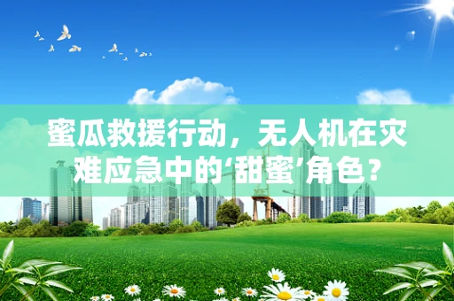 蜜瓜救援行动，无人机在灾难应急中的‘甜蜜’角色？