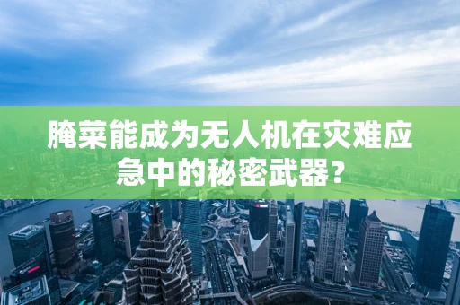 腌菜能成为无人机在灾难应急中的秘密武器？